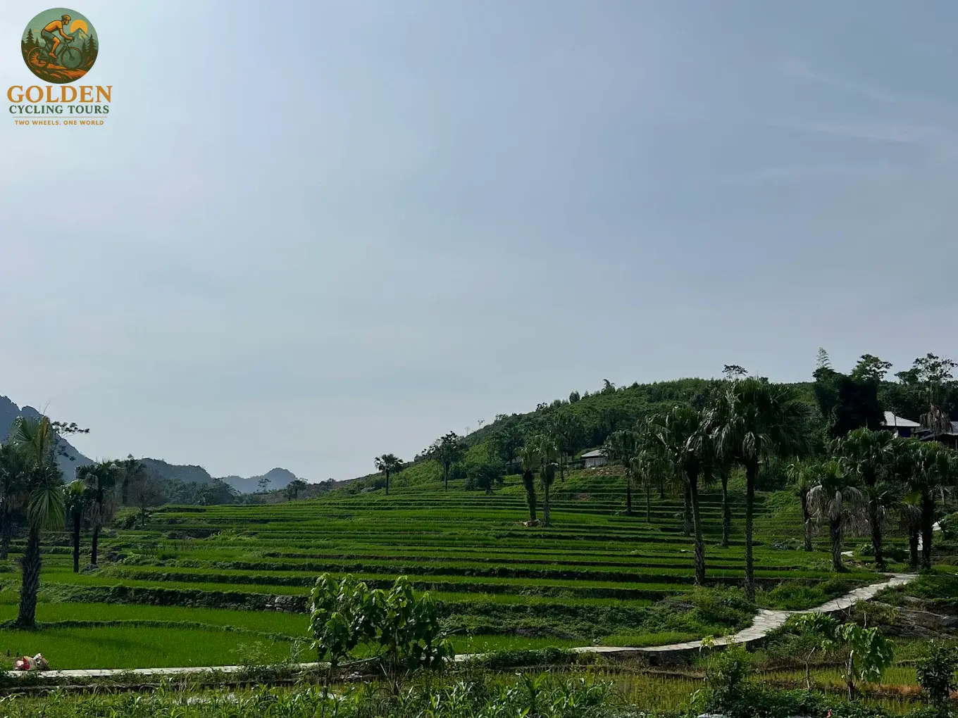 3-Day Thai Nguyen Backroad Cycling Tour: Ban Ten, Tea Hills & Nui Coc